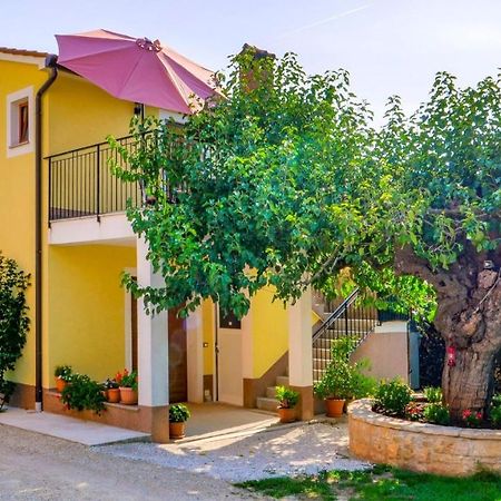 Studio Apartment Gianni Vižinada Esterno foto