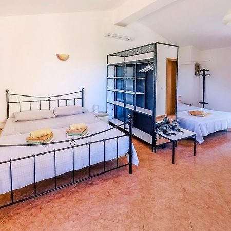 Studio Apartment Gianni Vižinada Esterno foto