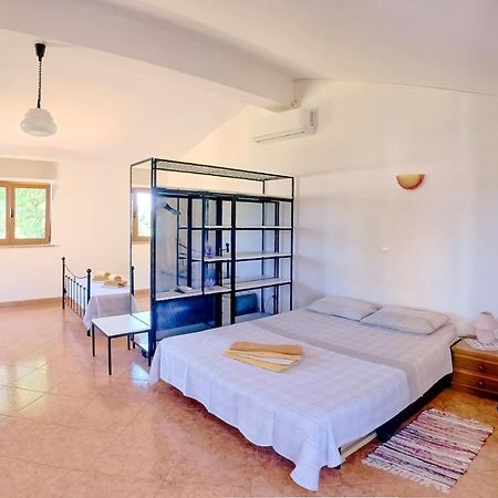 Studio Apartment Gianni Vižinada Esterno foto