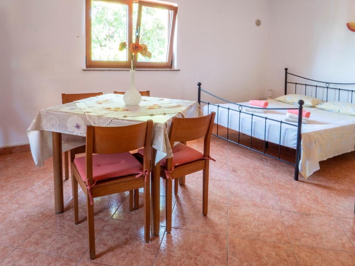Studio Apartment Gianni Vižinada Esterno foto