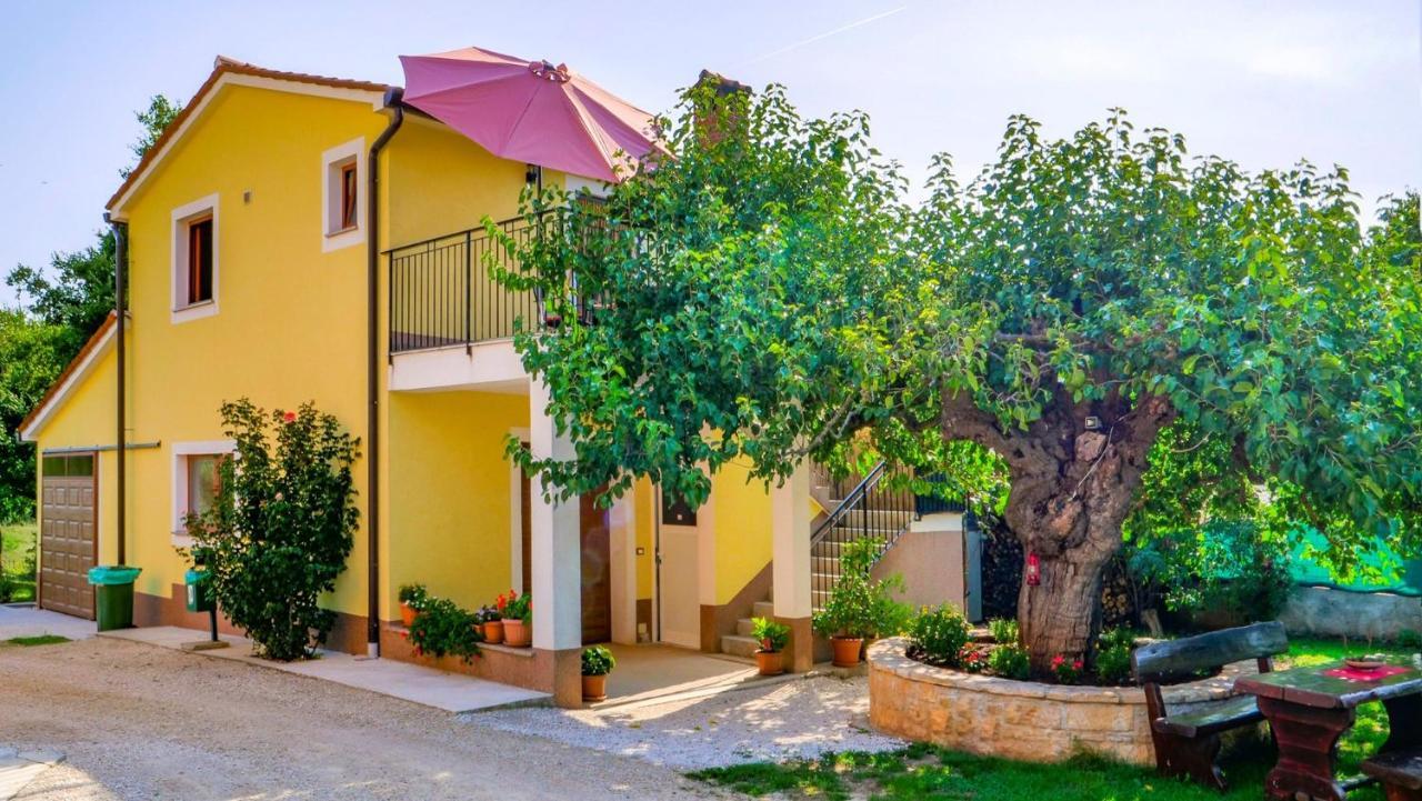 Studio Apartment Gianni Vižinada Esterno foto