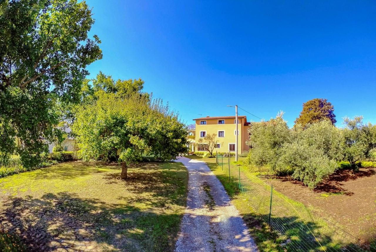 Studio Apartment Gianni Vižinada Esterno foto