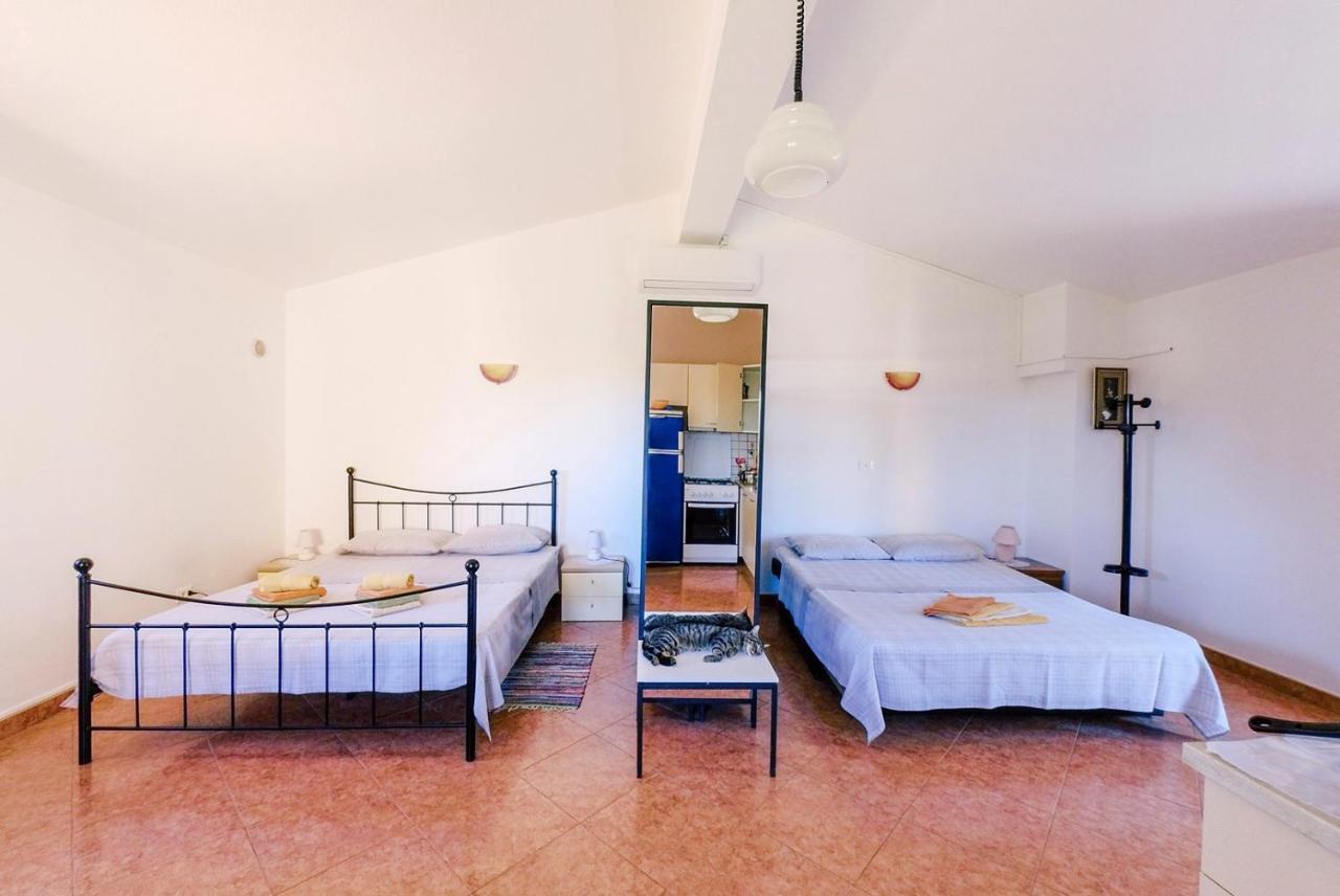 Studio Apartment Gianni Vižinada Esterno foto